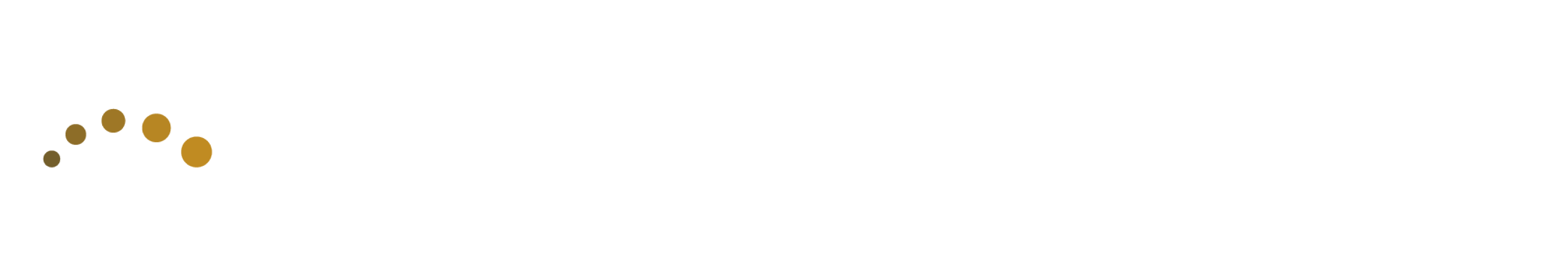 Leap to Loans